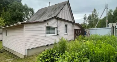 House in Piatryskauski sielski Saviet, Belarus