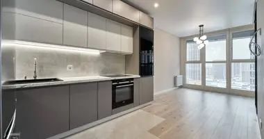 Appartement 1 chambre avec Mobilier, avec Wi-Fi, avec Cuisine dans Minsk, Biélorussie