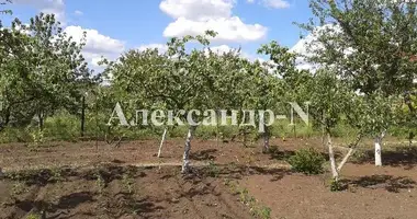 Terrain dans Sievierodonetsk, Ukraine