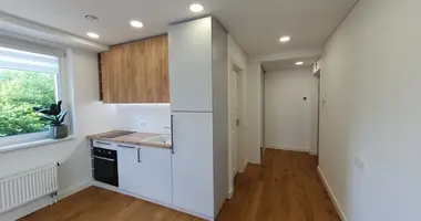 Wohnung 1 zimmer in Vilnius, Litauen