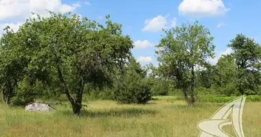 Plot of land in Miedna, Belarus