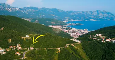 Commercial property in Budva Municipality, Montenegro