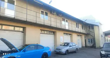 Коммерческое помещение 1 317 м² в Одесса, Украина