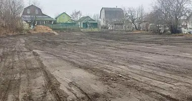 Plot of land in Dabryniouski sielski Saviet, Belarus