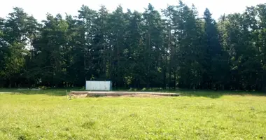 Plot of land in Eldigino, Russia