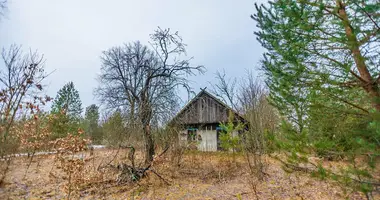 Grundstück in Mikalajeuscynski sielski Saviet, Weißrussland