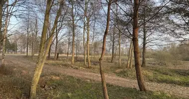 Grundstück in Sziesze, Litauen