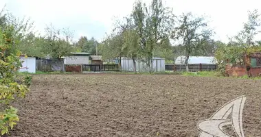 House in Matykalski sielski Saviet, Belarus