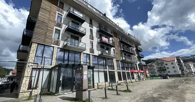 2,176 sq m commercial space with apartments for sale in Bakuriani in Bakuriani, Georgia