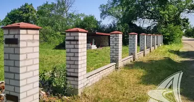 Plot of land in Vielikarycki sielski Saviet, Belarus