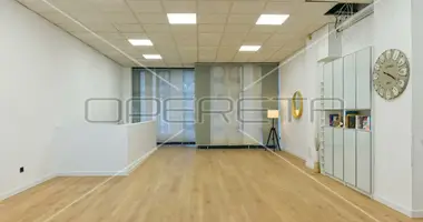 Commercial property 219 m² in Zagreb, Croatia