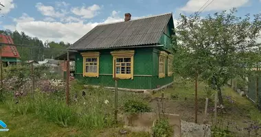 Haus in Ziabrauka, Weißrussland