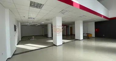 Коммерческое помещение 882 м² в Топла, Черногория