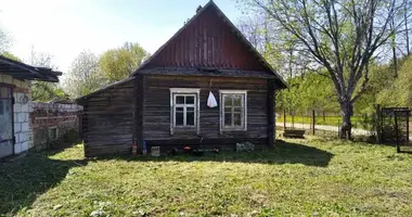 Дом в Плисский сельский Совет, Беларусь