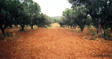 Участок земли в Portaria, Греция