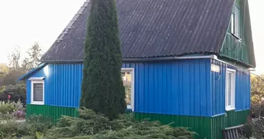 House in Navasyno, Belarus
