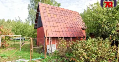 House in Blonski sielski Saviet, Belarus