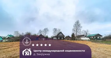 Dom w Krupicki sielski Saviet, Białoruś