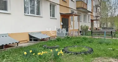 Apartment in Aksentis, Russia