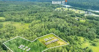 Plot of land in Turliskiai, Lithuania