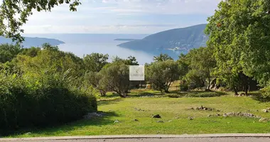 Plot of land in Trebesin, Montenegro