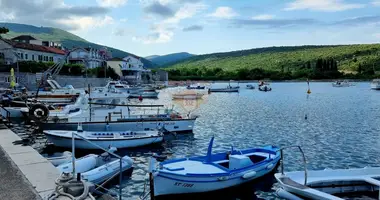 Propiedad comercial en Montenegro