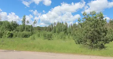 Участок земли в Мицкунай, Литва