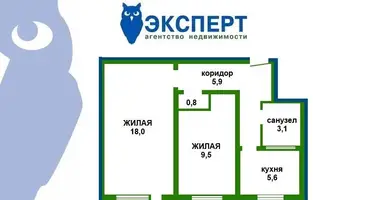 2 room apartment in Minsk, Belarus