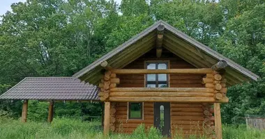 Maison dans Biarezinski siel ski Saviet, Biélorussie