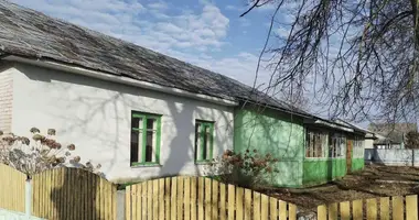 Коммерческое помещение 237 м² в Мётченский сельский Совет, Беларусь