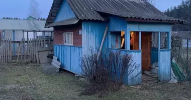 Dom w Pierasadski sielski Saviet, Białoruś