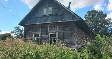 House in Mahilyow, Belarus