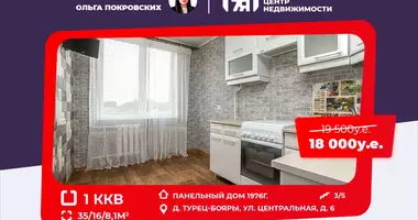 Wohnung 1 Zimmer in Turec-Boyary, Weißrussland