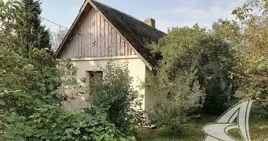 House in Radvanicki sielski Saviet, Belarus