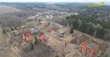 Plot of land in Piatryskauski sielski Saviet, Belarus