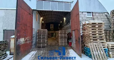 Entrepôt 817 m² dans Minsk, Biélorussie