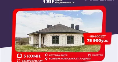 Cottage in Vialikija Navasiolki, Belarus