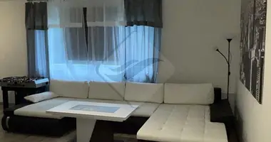 3 bedroom apartment in Naceradec, Czech Republic