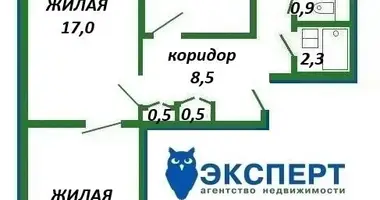 Wohnung 3 zimmer in Minsk, Belarus