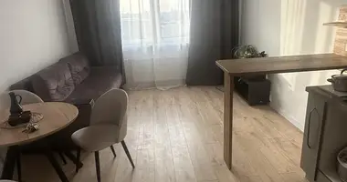 2 room apartment in Minsk, Belarus