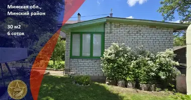 Дом в Пекалинский сельский Совет, Беларусь