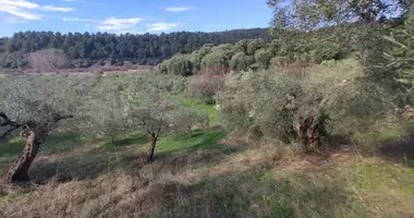 Plot of land in Toroni, Greece