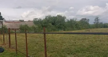 Terrain dans Babinicki sielski Saviet, Bélarus