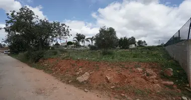 Terrain dans Pechao, Portugal