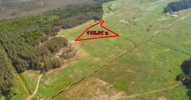 Plot of land in Bezdoniai Eldership, Lithuania