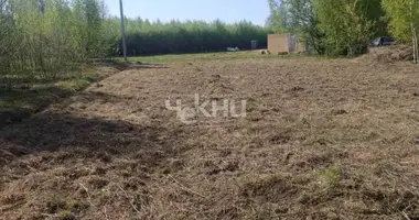 Terrain dans Gorodetsky District, Russie