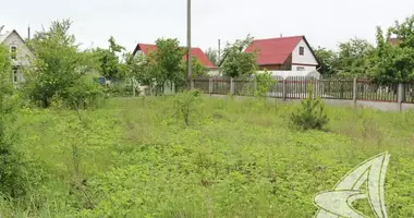 Grundstück in cerninski sielski Saviet, Weißrussland