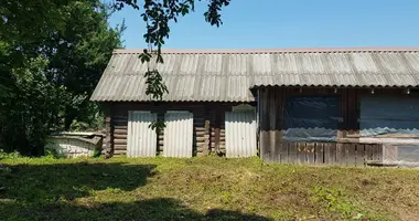 Dom w Piarezyrski sielski Saviet, Białoruś