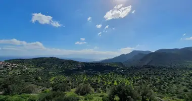 Plot of land in District of Agios Nikolaos, Greece