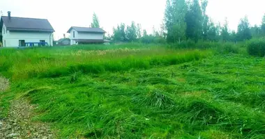 Plot of land in Luhavaslabadski sielski Saviet, Belarus